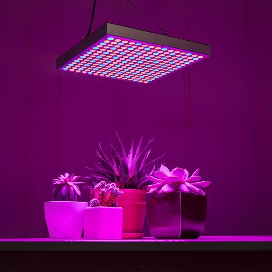 30W LED Grow Light - 2-Band Red/Blue for Indoor Plant Growth - Click Image to Close