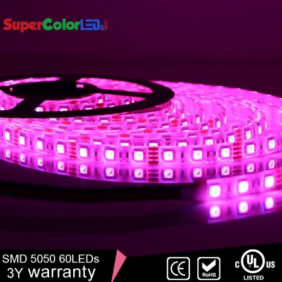 Outdoor RGB LED Strip Lights - Weatherproof 12V LED Tape Light - 244 Lumens/ft. - Click Image to Close