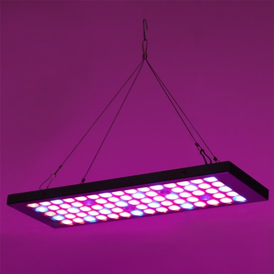 10W Full-Spectrum LED Grow Light - 4-Band Red/Blue/UV/IR for Indoor Plant Growth - Click Image to Close